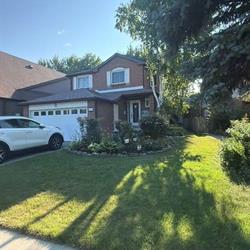 Submission 144